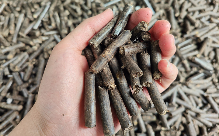 木屑顆粒機生物質顆粒助力綠色農(nóng)業(yè)高質量發(fā)展 木屑顆粒機生物質顆粒助力綠色農(nóng)業(yè)高質量發(fā)展